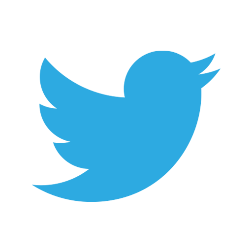 Twitter Icon Missing